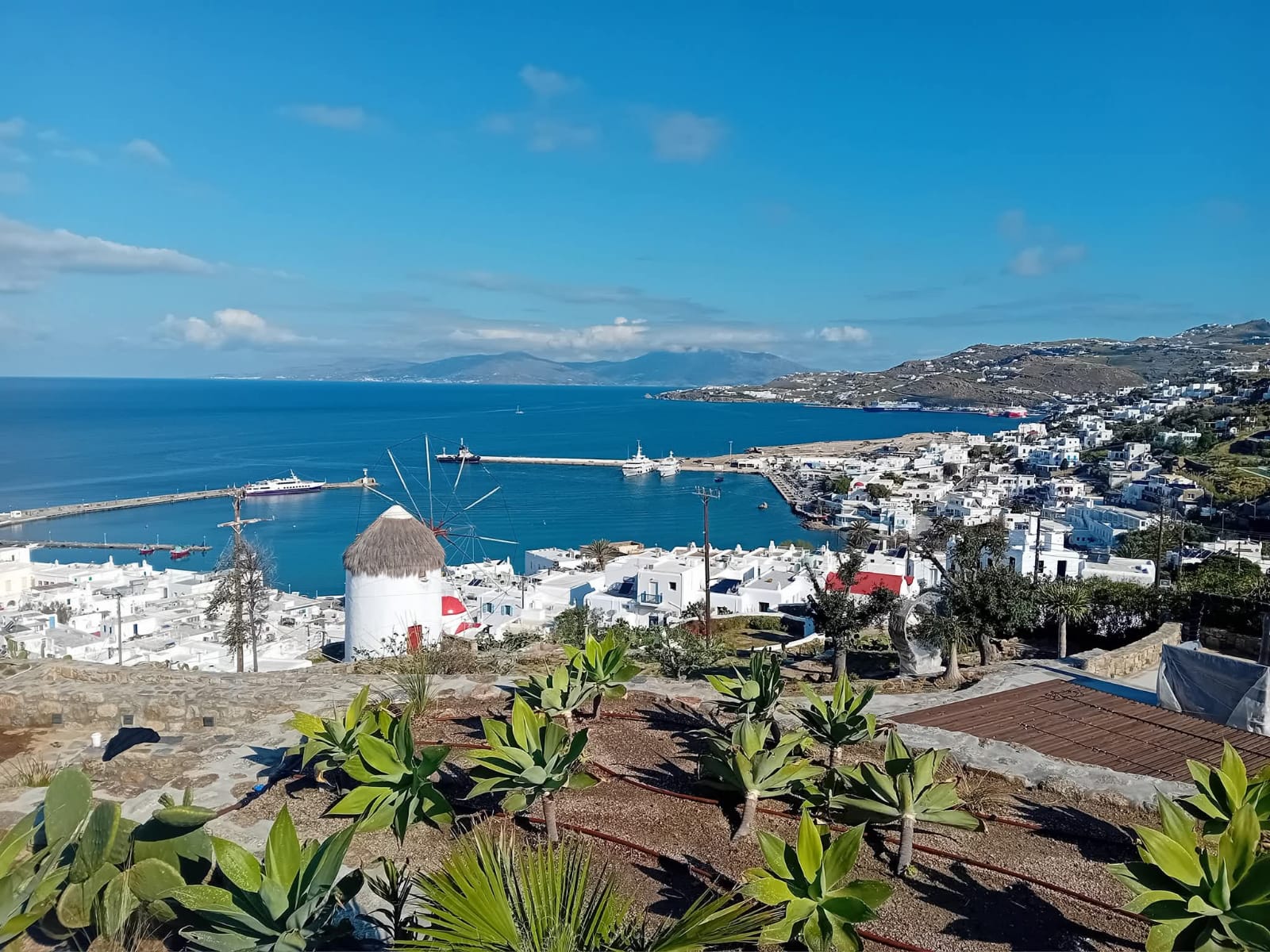 panorama-2026-05-19-at-5.57.46-PM